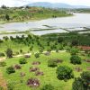 ĐẤT NGHỈ DƯỠNG VEN ĐÀ LẠT, GIÁP NƯỚC HỒ LIÊN HÀ, LÂM HÀ