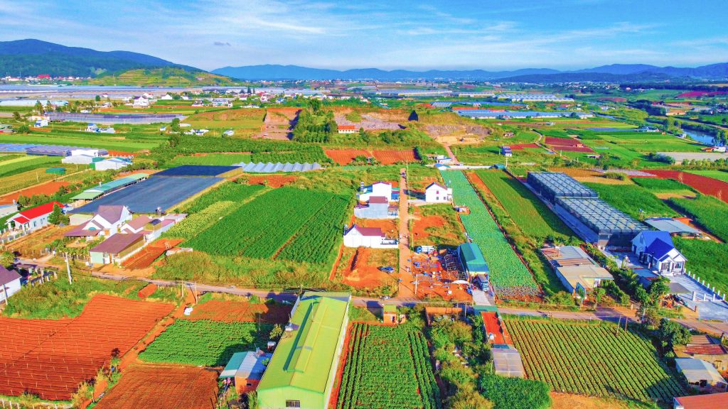 Địa Ốc Tín Đức