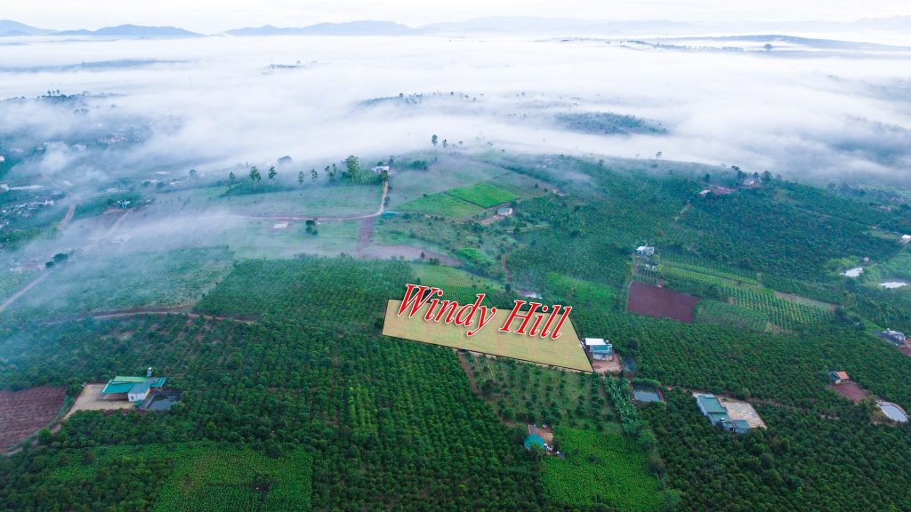Địa Ốc Tín Đức