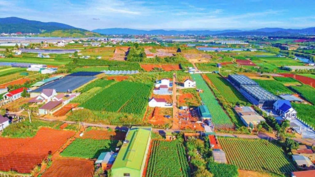 Địa Ốc Tín Đức