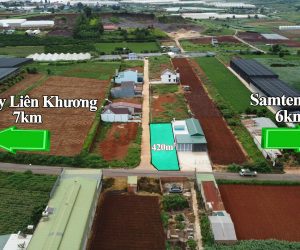 Đất đường Bồng Lai