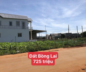 Đất Bồng Lai 725 triệu - 5x27, 100m2 thổ cư